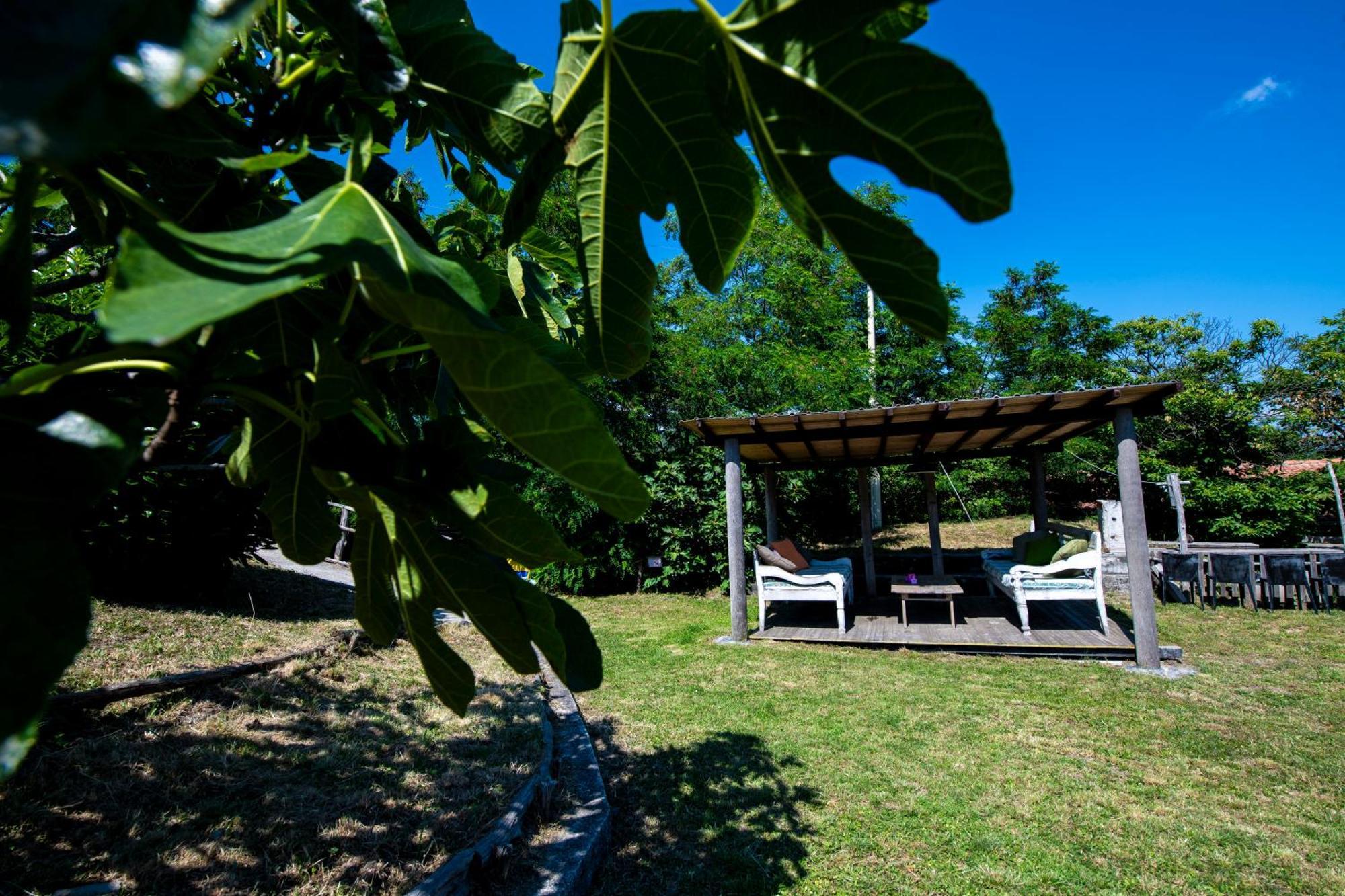 211 - Appartamento Acacia, Terrazza Giardino E Piscina Carro Exterior foto